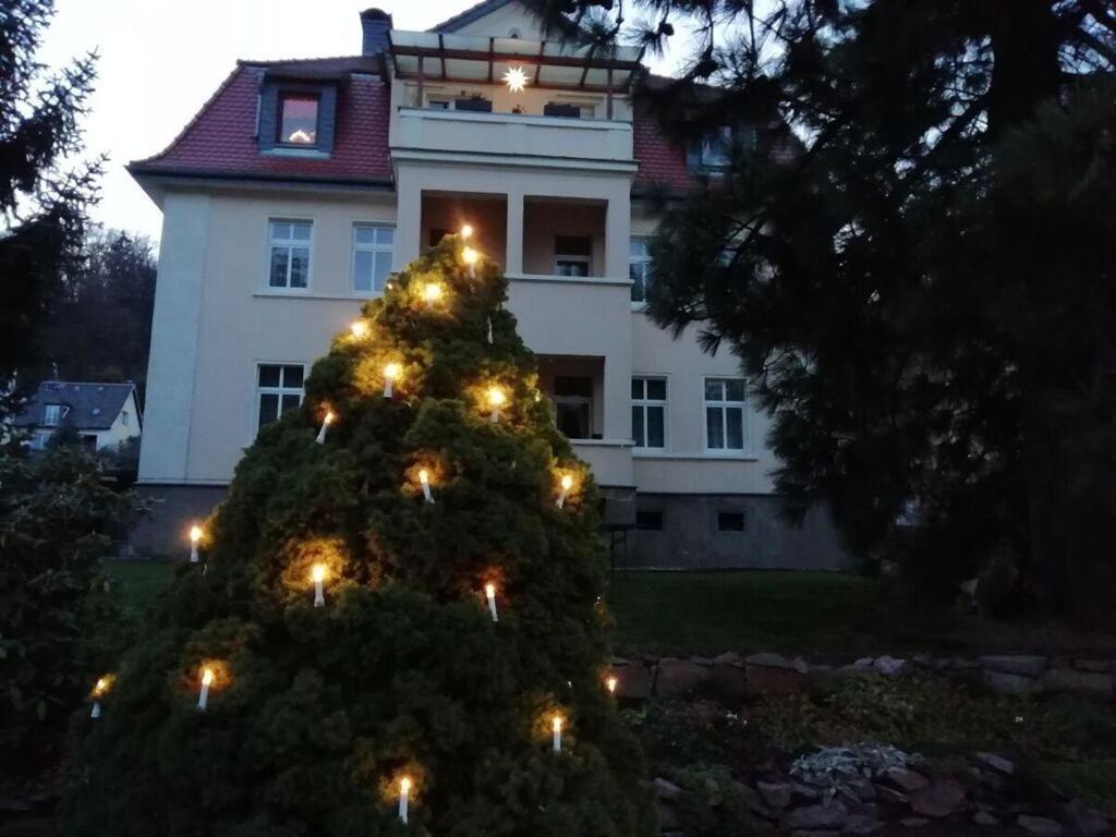 Mey Comfortable Holiday Residence Meißen Eksteriør billede