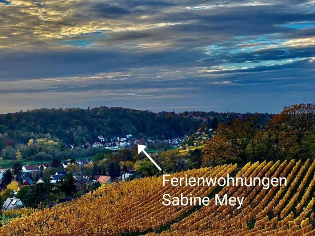Mey Comfortable Holiday Residence Meißen Eksteriør billede